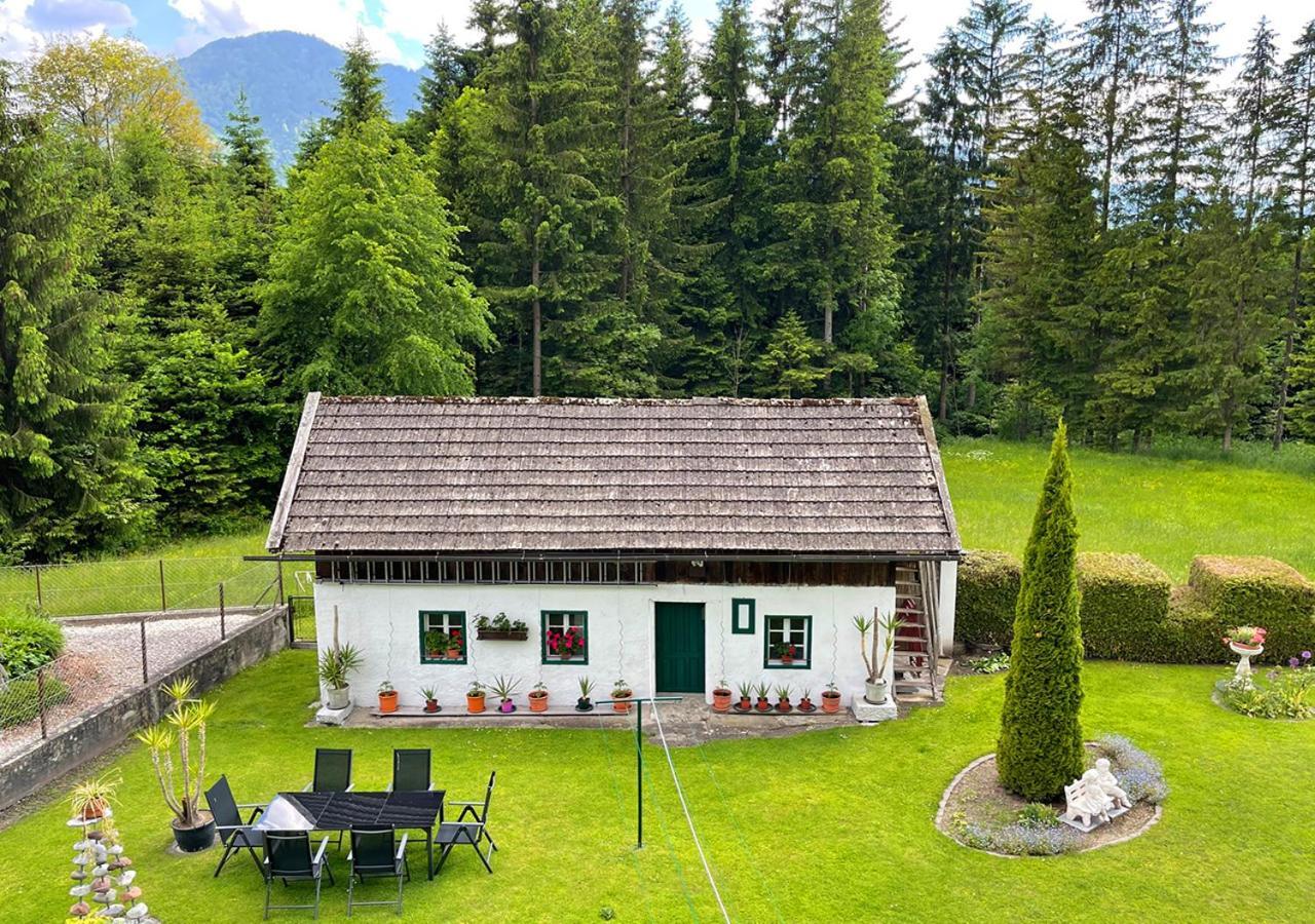 Apartments Fiore Am Naturschwimmbad! Puch  Luaran gambar